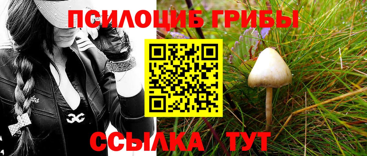 Старый Оскол  Псилоцибиновые грибы MAGIC MUSHROOMS  Вход с VPN 